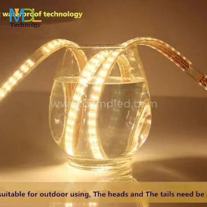 High Bright Flexible LED Strip Lights AC110V 220V MDL-STL220V